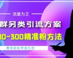 价值888的QQ群另类引流方案，半自动操作日200~300精准粉方法【视频教程】-如意资源库