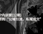 新媒体IP内训营(12期)，一套全新的“公域引流，私域成交”IP打法，直接带走-如意资源库