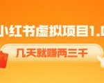 《小红书虚拟项目1.0》账号注册+养号+视频制作+引流+变现，几天就赚两三千-如意资源库
