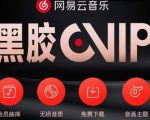 网易云音乐撸黑胶年卡及变现方法，收益可无限放大-如意资源库