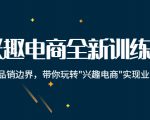 兴趣电商全新训练营：打破品销边界，带你玩转“兴趣电商“实现业务增长-如意资源库