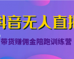 抖音无人直播带货赚佣金陪跑训练营(价值6980元)-如意资源库