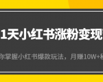 21天小红书涨粉变现营（第4期）：带你掌握小红书爆款玩法，月赚10W+秘密-如意资源库