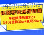 21天视频号变现特训营:单视频播放量2亿+3个月涨粉30w+变现20w+(第14期)-如意资源库