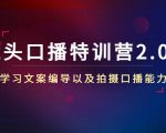 镜头口播特训营2.0版,学习文案编导以及拍摄口播能力(50节课时)-如意资源库