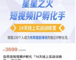 瑶瑶·自然流短视频IP孵化第二期，14天线上实战训练营，赋能100个人成为有数据能赚钱的独立IP孵化手-如意资源库