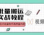 视频号批量搬运实战操作运营赚钱教程,傻瓜式批量制作高质量内容【附视频教程+PPT】-如意资源库