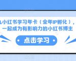 厦九九小红书学习年卡(全年IP孵化),沉浸式学习,一起成为有影响力的小红书博主-如意资源库