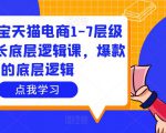 大圣淘宝天猫电商1-7层级盈利增长底层逻辑课，爆款的底层逻辑-如意资源库