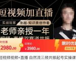 张越·短视频+直播，自然流三频共振起号实操课，​短视频所有流量玩法讲解-如意资源库