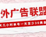 外面收费1980的最新国外LEAD广告联盟搬砖项目，单号一天至少30美金【详细玩法教程】-如意资源库