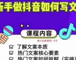 新手做抖音如何写文案，手把手实操如何拆解热门文案-如意资源库
