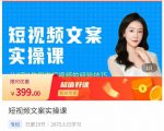 小秋·短视频文案实操课,从0到1教你做短视频的经验技巧-如意资源库