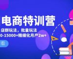 美团电商特训营：美团·店群玩法，无脑铺货月产出6000-15000+精细化月产2w+-如意资源库