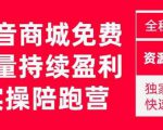 抖音商城搜索持续盈利陪跑成长营,抖音商城搜索从0-1、从1到10的全面解决方案-如意资源库