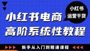 小红书电商高阶系统教程，新手从入门到精通系统课-如意资源库