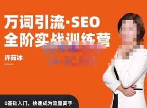 许茹冰·万词引流-SEO全阶实战训练营，0基础入门，快速成为流量高手-如意资源库
