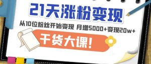 21天精准涨粉变现干货大课:从10位粉丝开始变现月增5000+变现20w+-如意资源库