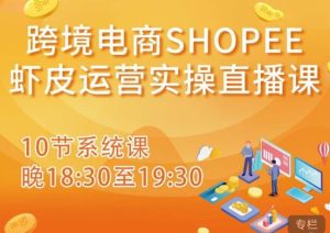 跨境电商Shopee虾皮运营实操直播课,从零开始学,入门到精通(10节系统课)-如意资源库