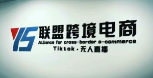 YS联盟·Tiktok无人直播，不出镜不剪辑不拍摄不发货无售后的跨境短视频躺赚玩法-如意资源库