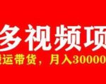 多多带货视频快速50爆款拿带货资格，搬运带货，月入30000【全套脚本+详细玩法】-如意资源库