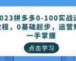 2023拼多多0-100实战运营教程,0基础起步,运营知识一手掌握-如意资源库