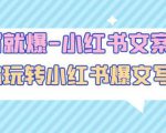 一写就爆-小红书文案课：带你玩转小红收爆文写作（45节课）-如意资源库