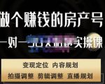 刘广标·同城房产号线上陪跑课，拍摄、剪辑、写文案、直播，做一个具有潜力价值的房产号-如意资源库