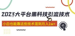 大平台黑科技引流技术，小白也能靠这些技术混到月入1w+(2022年的课程）-如意资源库
