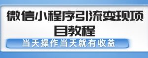 微信小程序引流变现项目教程，当天操作当天就有收益，变现不再是难事-如意资源库