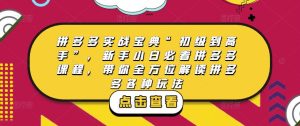 拼多多实战宝典“初级到高手”，新手小白必看拼多多课程，带你全方位解读拼多多各种玩法-如意资源库