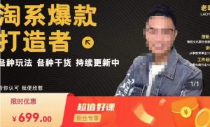 锋投老叶全店动销,淘系干货汇总,各种玩法,淘系爆款打造者-如意资源库