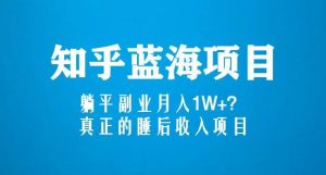 知乎蓝海玩法，躺平副业月入1W+，真正的睡后收入项目（6节视频课）-如意资源库