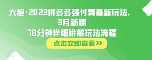 大炮·2023拼多多强付费最新玩法，3月新课​78分钟详细讲解玩法流程-如意资源库