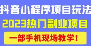 抖音小程序9.0新技巧，2023热门副业项目，动动手指轻松变现-如意资源库