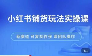 小红书铺货玩法实操课，流量大，竞争小，非常好做，新赛道，可复制性强，可团队操作-如意资源库