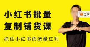 张宾·小红书批量复制铺货课,小红书0-1快速起号变现玩法,抓住小红书的流量红利(更新2023年3月)-如意资源库