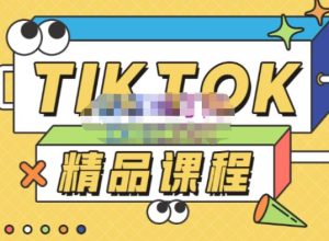 电商孵化中心·TikTok精品课程，教你玩转海外抖音，低成本创业，带您从0开始玩转TikTok-如意资源库