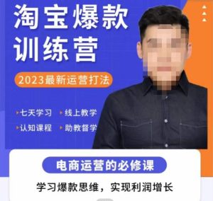 爱上黄昏·淘宝爆款训练营,2023最新运营打法,学习爆款思维,实现利润增长-如意资源库