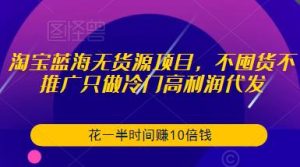 淘宝蓝海无货源项目,不囤货不推广只做冷门高利润代发,花一半时间赚10倍钱-如意资源库