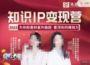 鹿盈盈-知识IP变现实操营，​普通人可复制的知识产品落地实操课，​带你打通知识IP变现底层逻辑-如意资源库