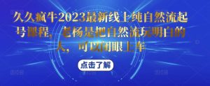 久久疯牛2023最新线上纯自然流起号课程,老杨是把自然流玩明白的人,可以闭眼上车-如意资源库
