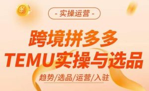 跨境拼多多TEMU实操与选品，​掌握平台运营方法技巧，选品避坑12条标准，爆款的底层思路等-如意资源库