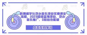 听潮阁学社汽水音乐项目实操课全流程，2023超级蓝海项目，汽水音乐推广，0粉丝也能做-如意资源库