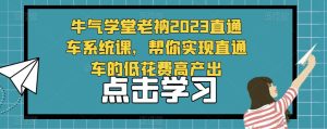 牛气学堂老衲2023直通车系统课,帮你实现直通车的低花费高产出-如意资源库