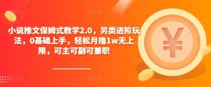 小说推文保姆式教学2.0，另类进阶玩法，0基础上手，轻松月撸1w无上限，可主可副可兼职-如意资源库
