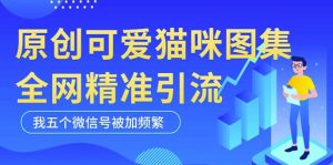黑科技纯原创可爱猫咪图片，全网精准引流，实操5个VX号被加频繁-如意资源库