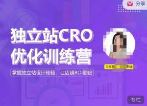 独立站CRO优化训练营，掌握独立站设计秘籍，打造高转化的独立站，让店铺ROI翻倍-如意资源库
