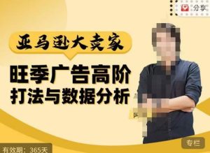阿甘·亚马逊大卖家广告高阶打法与数据分析，走出传统广告误区；揭秘大卖惯用打法；数据驱动广告决策-如意资源库