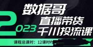 数据哥2023直播电商巨量千川付费投流实操课,快速掌握直播带货运营投放策略-如意资源库